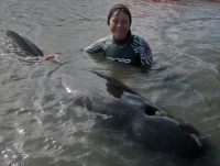 Jo (Floppy) Halliday – Whale Rescue Co-Founder